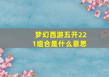 梦幻西游五开221组合是什么意思