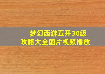 梦幻西游五开30级攻略大全图片视频播放