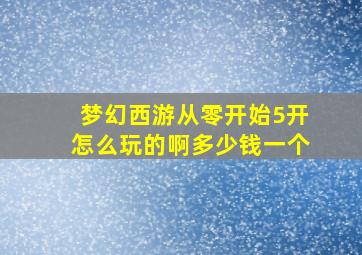 梦幻西游从零开始5开怎么玩的啊多少钱一个