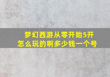 梦幻西游从零开始5开怎么玩的啊多少钱一个号