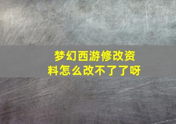 梦幻西游修改资料怎么改不了了呀