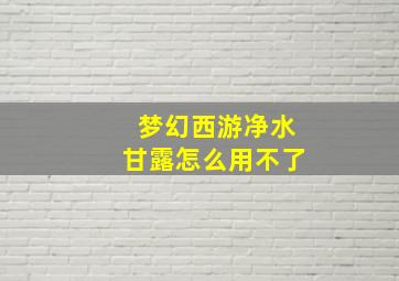 梦幻西游净水甘露怎么用不了