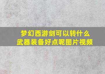 梦幻西游剑可以转什么武器装备好点呢图片视频