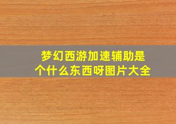 梦幻西游加速辅助是个什么东西呀图片大全