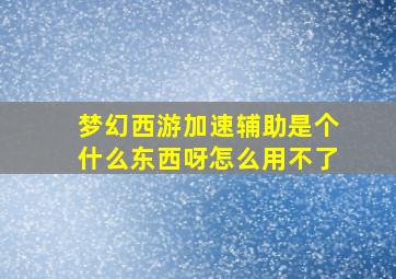 梦幻西游加速辅助是个什么东西呀怎么用不了