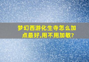 梦幻西游化生寺怎么加点最好,用不用加敏?