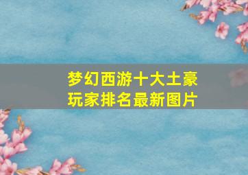 梦幻西游十大土豪玩家排名最新图片