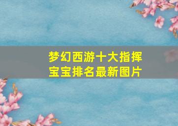 梦幻西游十大指挥宝宝排名最新图片