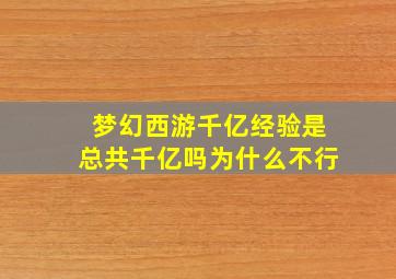 梦幻西游千亿经验是总共千亿吗为什么不行