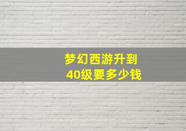 梦幻西游升到40级要多少钱