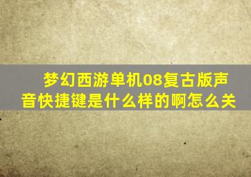 梦幻西游单机08复古版声音快捷键是什么样的啊怎么关