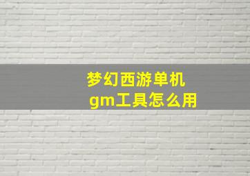 梦幻西游单机gm工具怎么用