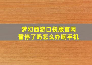 梦幻西游口袋版官网暂停了吗怎么办啊手机