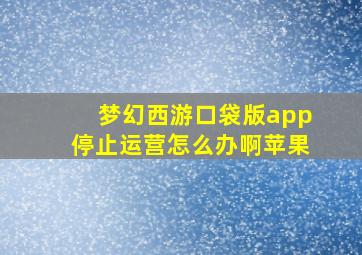 梦幻西游口袋版app停止运营怎么办啊苹果