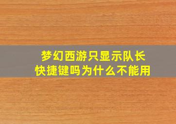 梦幻西游只显示队长快捷键吗为什么不能用