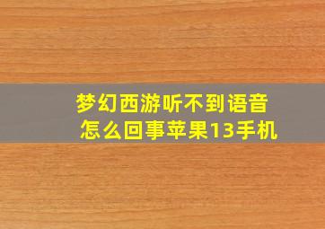 梦幻西游听不到语音怎么回事苹果13手机