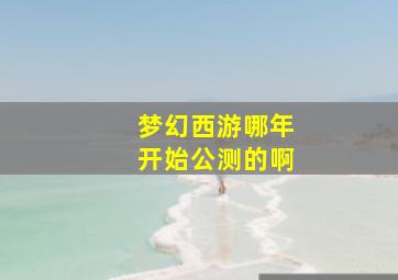 梦幻西游哪年开始公测的啊