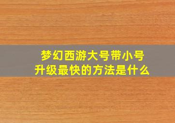 梦幻西游大号带小号升级最快的方法是什么