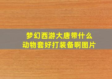 梦幻西游大唐带什么动物套好打装备啊图片