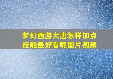 梦幻西游大唐怎样加点技能最好看呢图片视频