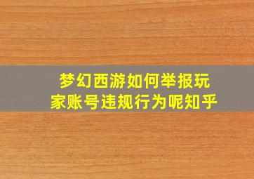 梦幻西游如何举报玩家账号违规行为呢知乎