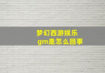 梦幻西游娱乐gm是怎么回事