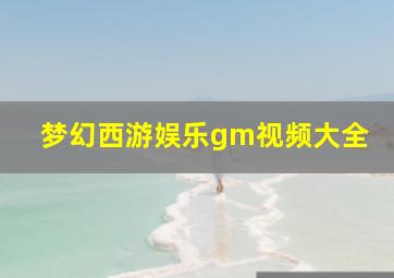 梦幻西游娱乐gm视频大全