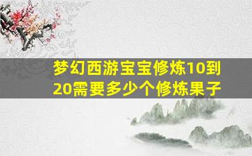 梦幻西游宝宝修炼10到20需要多少个修炼果子