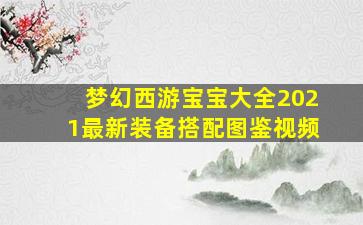 梦幻西游宝宝大全2021最新装备搭配图鉴视频