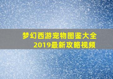 梦幻西游宠物图鉴大全2019最新攻略视频