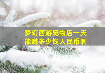 梦幻西游宠物店一天能赚多少钱人民币啊