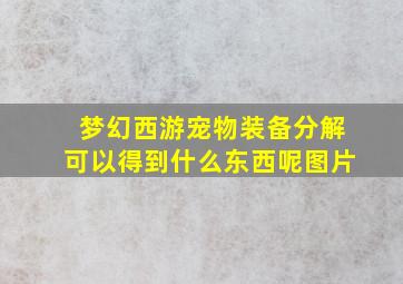 梦幻西游宠物装备分解可以得到什么东西呢图片