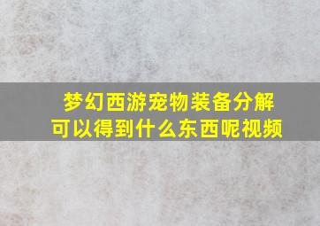 梦幻西游宠物装备分解可以得到什么东西呢视频