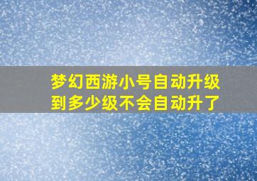 梦幻西游小号自动升级到多少级不会自动升了