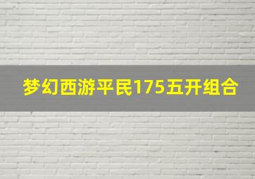 梦幻西游平民175五开组合