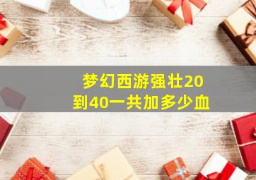 梦幻西游强壮20到40一共加多少血