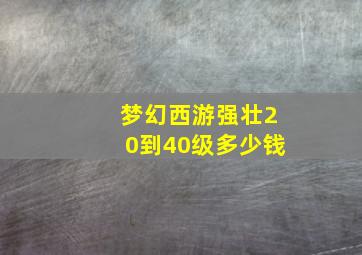 梦幻西游强壮20到40级多少钱