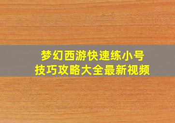 梦幻西游快速练小号技巧攻略大全最新视频