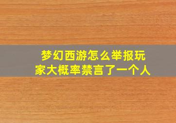 梦幻西游怎么举报玩家大概率禁言了一个人