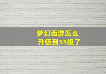 梦幻西游怎么升级到55级了