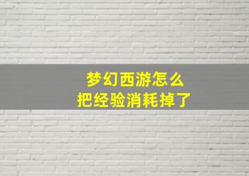 梦幻西游怎么把经验消耗掉了