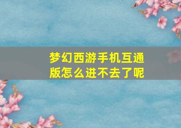 梦幻西游手机互通版怎么进不去了呢