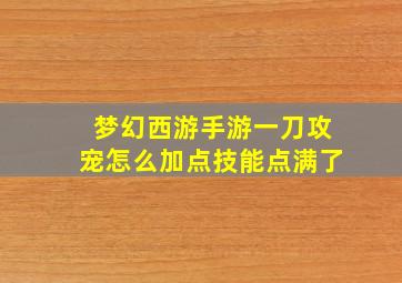 梦幻西游手游一刀攻宠怎么加点技能点满了