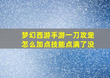 梦幻西游手游一刀攻宠怎么加点技能点满了没