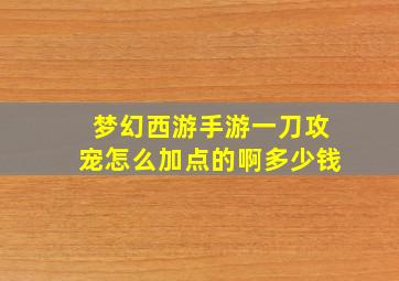 梦幻西游手游一刀攻宠怎么加点的啊多少钱