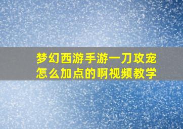 梦幻西游手游一刀攻宠怎么加点的啊视频教学