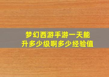 梦幻西游手游一天能升多少级啊多少经验值