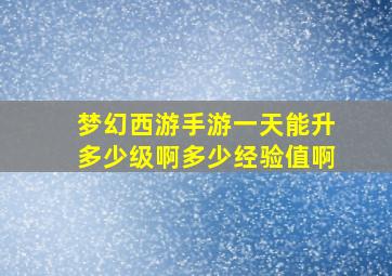 梦幻西游手游一天能升多少级啊多少经验值啊