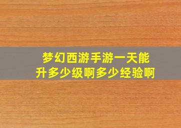 梦幻西游手游一天能升多少级啊多少经验啊