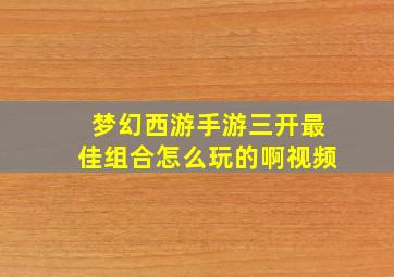 梦幻西游手游三开最佳组合怎么玩的啊视频